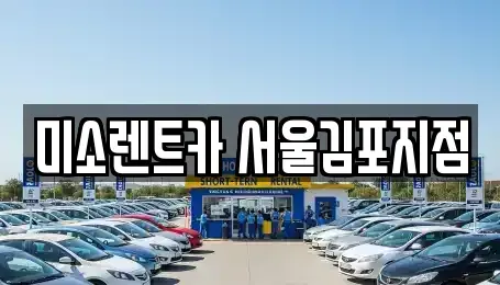 경기도 김포시 렌트카 전문 미소렌트카 서울김포지점
