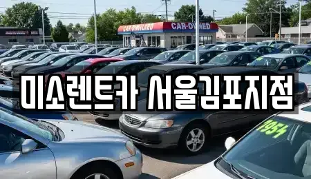 경기도 김포시 렌트카 전문 미소렌트카 서울김포지점