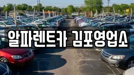 경기도 김포시 렌트카 전문 알파렌트카 김포영업소