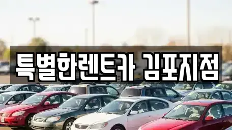 경기도 김포시 렌트카 전문 특별한렌트카 김포지점