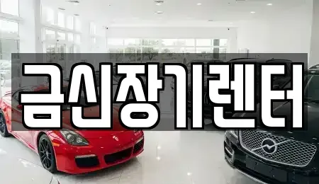 경기도 김포시 장기렌트카 전문 금신장기렌터