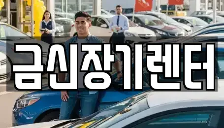 경기도 김포시 장기렌트카 전문 금신장기렌터