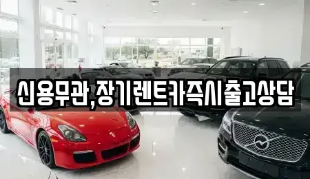 경기도 김포시 장기렌트카 전문 신용무관,장기렌트카즉시출고상담