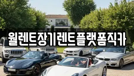 경기도 김포시 장기렌트카 전문 월렌트장기렌트플랫폼직카