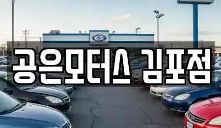 경기도 김포시 중고차 전문 공은모터스 김포점