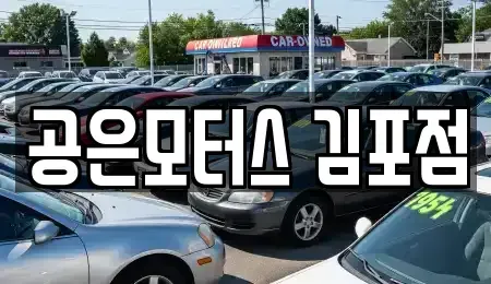 경기도 김포시 중고차 전문 공은모터스 김포점