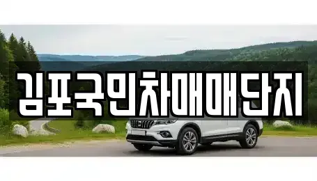 경기도 김포시 중고차 전문 김포국민차매매단지