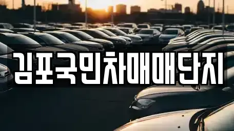 경기도 김포시 중고차 전문 김포국민차매매단지