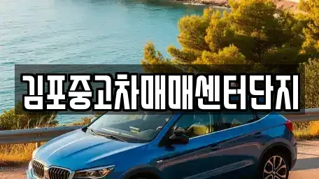 경기도 김포시 중고차 전문 김포중고차매매센터단지