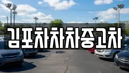 경기도 김포시 중고차 전문 김포차차차중고차