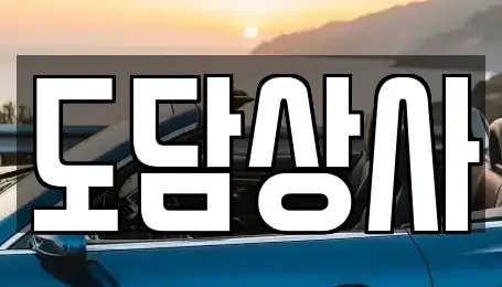 경기도 김포시 중고차 전문 도담상사
