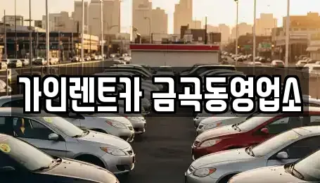 경기도 남양주시 금곡동 렌트카,단기렌트카,장기렌트카,중고차,중고차매매,중고차매입