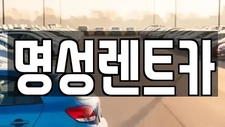 경기도 남양주시 금곡동 렌트카 전문 명성렌트카