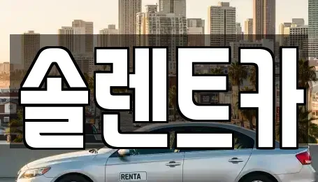경기도 남양주시 금곡동 렌트카 전문 솔렌트카