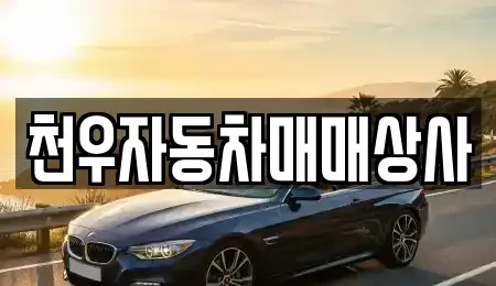 경기도 남양주시 금곡동 중고차 전문 천우자동차매매상사