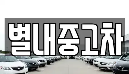 경기도 남양주시 별내동 중고차 전문 별내중고차