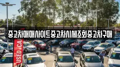 경기도 남양주시 별내동 중고차 전문 중고차매매사이트중고차시세조회중고차구매