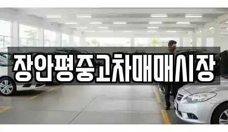 경기도 남양주시 별내동 중고차매매 전문 장안평중고차매매시장