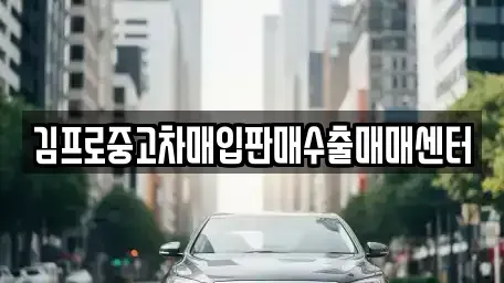 경기도 남양주시 별내동 중고차매입 전문 김프로중고차매입판매수출매매센터