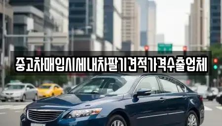 경기도 남양주시 별내동 중고차매입 전문 중고차매입시세내차팔기견적가격수출업체