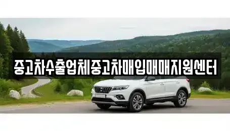 경기도 남양주시 별내동 중고차매입 전문 중고차수출업체중고차매입매매지원센터