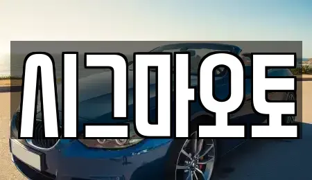 경기도 부천시 소사구 송내동 단기렌트카 전문 시그마오토