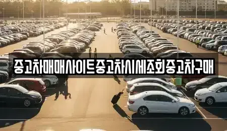 경기도 부천시 소사구 송내동 중고차 전문 중고차매매사이트중고차시세조회중고차구매