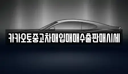 경기도 부천시 소사구 송내동 중고차 전문 카카오토중고차매입매매수출판매시세