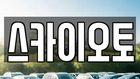 경기도 부천시 원미구 심곡동 단기렌트카 전문 스카이오토