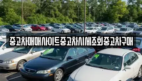 경기도 부천시 원미구 심곡동 중고차매매 전문 중고차매매사이트중고차시세조회중고차구매