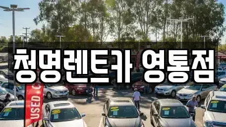 경기도 수원시 영통구 영통동 렌트카 전문 청명렌트카 영통점
