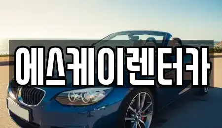 경기도 수원시 영통구 영통동 장기렌트카 전문 에스케이렌터카