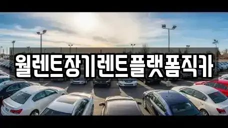 경기도 수원시 영통구 영통동 장기렌트카 전문 월렌트장기렌트플랫폼직카