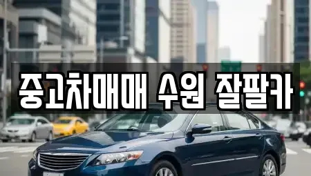 경기도 수원시 영통구 영통동 중고차 전문 중고차매매 수원 잘팔카