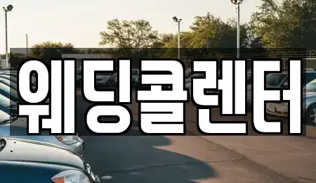 경기도 수원시 장안구 단기렌트카 전문 웨딩콜렌터