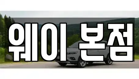 경기도 수원시 장안구 단기렌트카 전문 웨이 본점