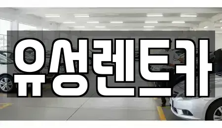 경기도 수원시 장안구 렌트카 전문 유성렌트카