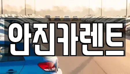 경기도 수원시 장안구 장기렌트카 전문 안진카렌트