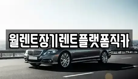 경기도 수원시 장안구 장기렌트카 전문 월렌트장기렌트플랫폼직카