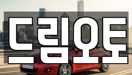 경기도 수원시 장안구 중고차 전문 드림오토
