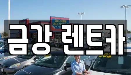 경기도 수원시 팔달구 구천동 렌트카 전문 금강 렌트카