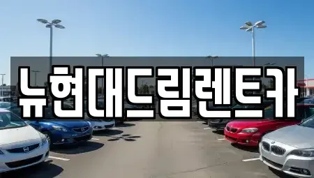 경기도 수원시 팔달구 구천동 렌트카 전문 뉴현대드림렌트카