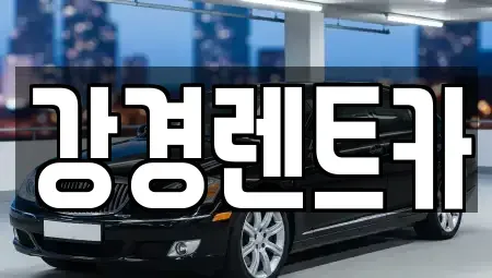 경기도 안산시 단원구 목내동 렌트카 전문 강경렌트카