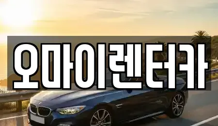 경기도 안산시 단원구 목내동 렌트카 전문 오마이렌터카