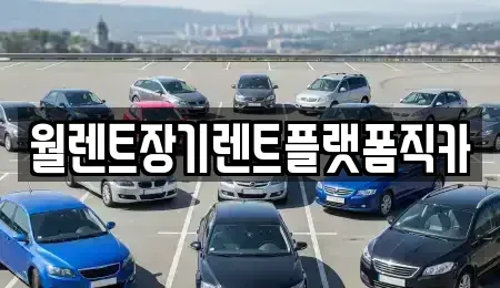 경기도 안산시 단원구 목내동 장기렌트카 전문 월렌트장기렌트플랫폼직카