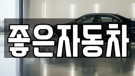 경기도 안산시 단원구 목내동 중고차매매 전문 좋은자동차