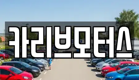 경기도 안산시 단원구 목내동 중고차매매 전문 카리브모터스