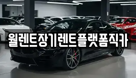 경기도 안산시 단원구 성곡동 장기렌트카 전문 월렌트장기렌트플랫폼직카