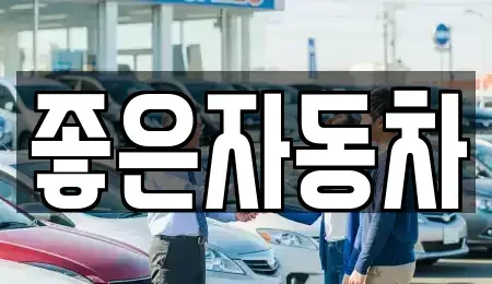 경기도 안산시 단원구 성곡동 중고차 전문 좋은자동차
