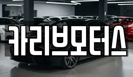 경기도 안산시 단원구 성곡동 중고차 전문 카리브모터스